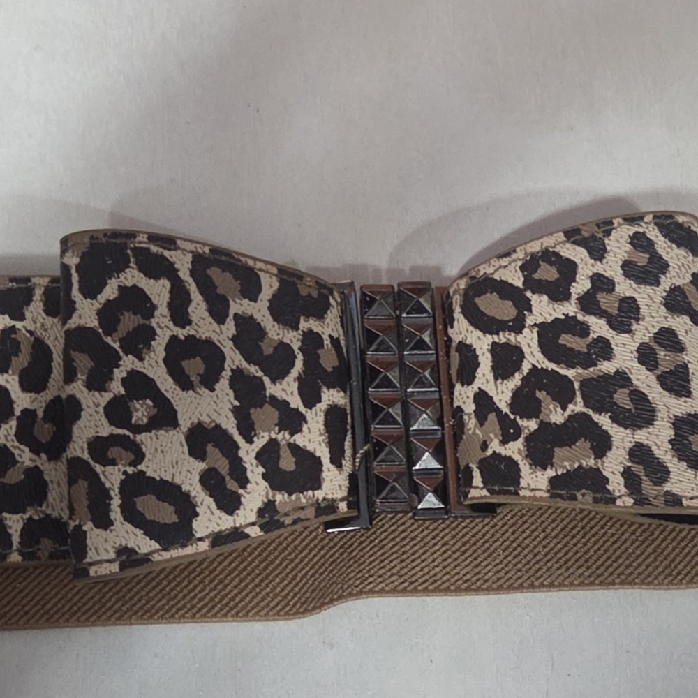 rue21 Leopard Print Accessory in Brown and Black